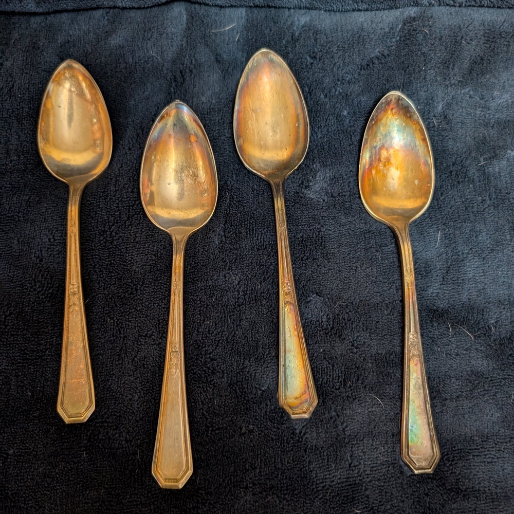 Silver Elegant Dinnerware Spoons Set